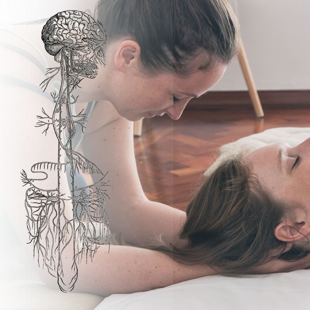 occiput release in Thai Massage treatment with Vagus Nerve illustration overlay