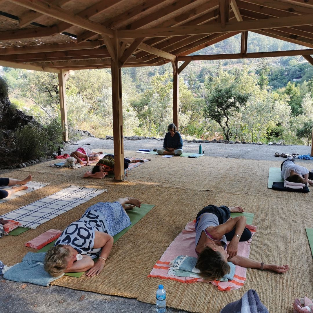 forest yoga shala