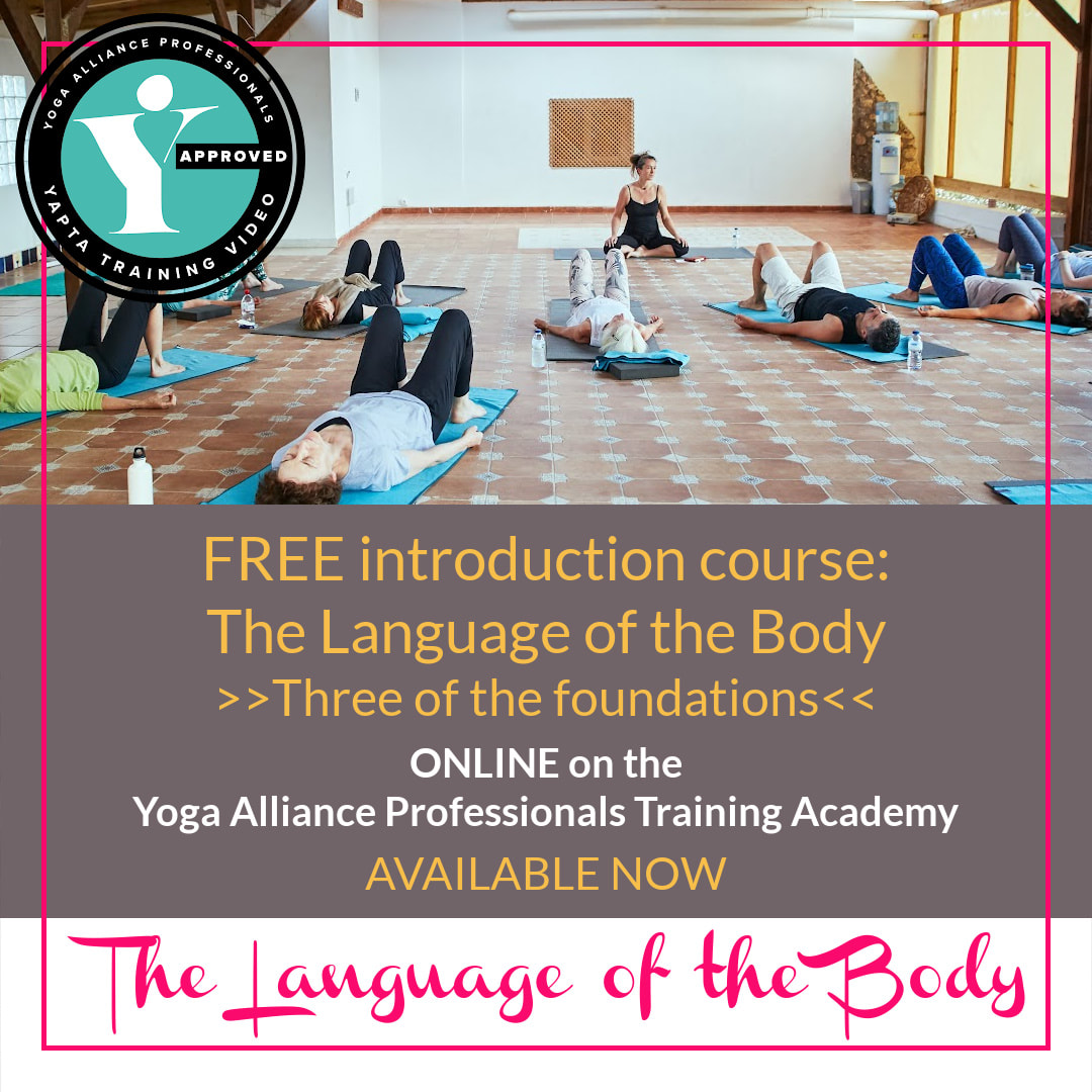 poster for free introduction course